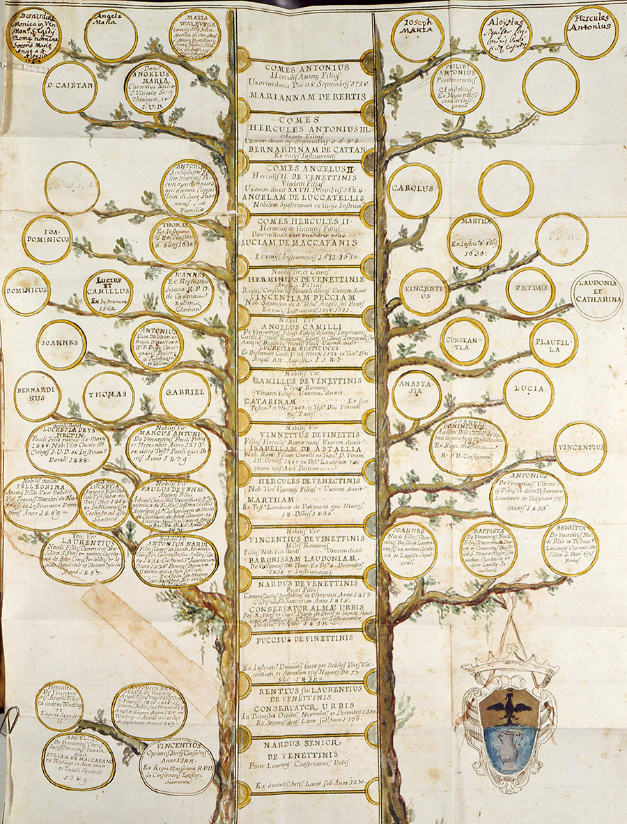 Manoscritto illustrato. Albero genealogico