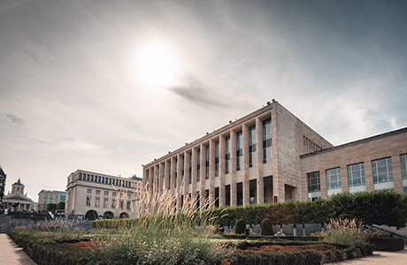 biblioteca reale del belgio